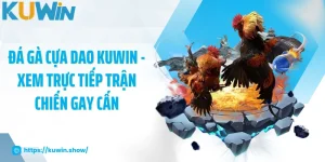 Đá Gà Cựa Dao