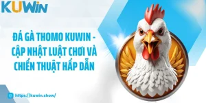 đá gà Thomo