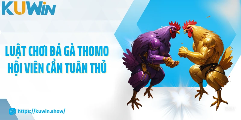 Đá Gà Thomo - Cập Nhật Luật Chơi Và Chiến Thuật Hấp Dẫn 2025 Luật chơi đá gà Thomo hội viên cần tuân thủ