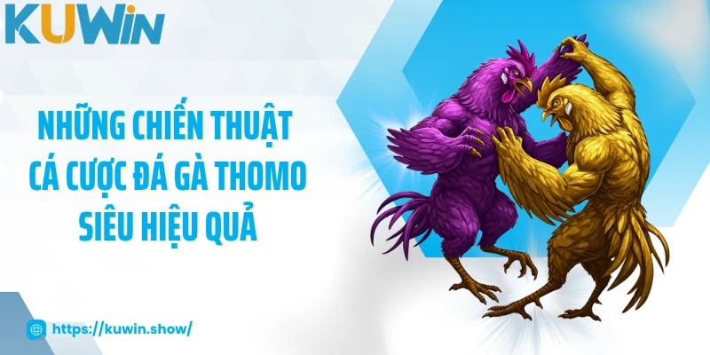 Đá Gà Thomo - Cập Nhật Luật Chơi Và Chiến Thuật Hấp Dẫn 2025 Những chiến thuật cá cược đá gà Thomo siêu hiệu quả