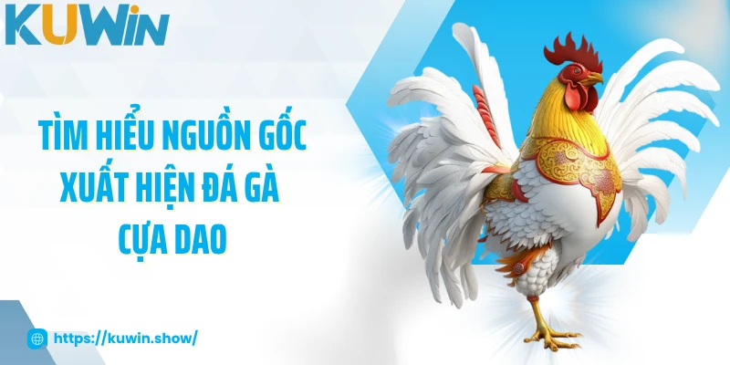 Đá Gà Cựa Dao - Xem Trực Tiếp Trận Chiến Gay Cấn 2025 Tìm hiểu nguồn gốc xuất hiện đá gà cựa dao